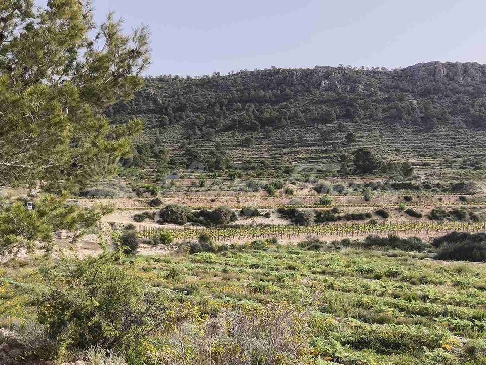 Helårsgrund i La Romana, Alicante - foto 1